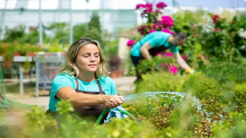 Why Efficient Irrigation Starts With Proper System Design Rather Than Water Volume